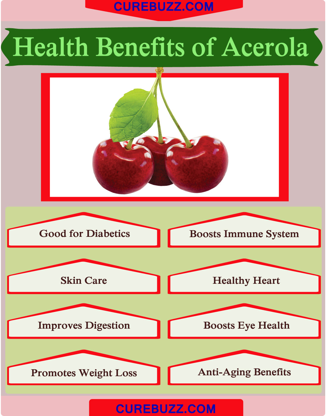 針葉櫻桃粉  Acerola cherry power